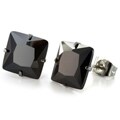 West Coast Jewelry Stainless Steel 10mm Black Cubic Zirconia Earrings