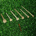 Stinger 2.75-inch Golf Tees (Case of 500)