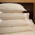 Extra Firm 600 Fill Power White Goose Down Pillow