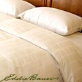 Eddie Bauer 370 Thread Count Jumbo-size PrimaLoft Pillows (Set of 2)