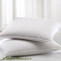 Eddie Bauer 725 Fill Power Goose Down Standard-size Chamber Pillow