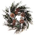 Good Tidings 24-inch Snowed Bay Leaf Eucalyptus Wreath