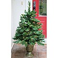 Fraser Fir 4-foot Pre-Lit Artificial Clear-Color Entrance Tree