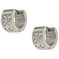 Stainless Steel Crystal Hoop Earrings