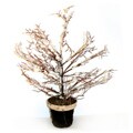 Good Tidings Potted Twig Wire Tree with Snow Brown Pot