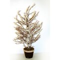 Good Tidings Potted Twig Wire Tree with Snow Brown Pot