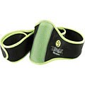 Wii - Zumba Belt