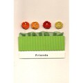Set of 4 Potted Asters Friendship Cards (Turkey)