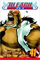 Bleach 41 (Paperback)