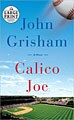 Calico Joe (Large Print, Paperback)