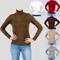 Harve Bernard Women's Long Sleeves Turtleneck Top