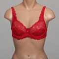 Rene Rofe Women's Lace Underwire Bras (Pack of 2)