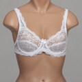 Rene Rofe Women's Lace Underwire Bras (Pack of 2)