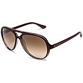 Ray-Ban Brown/Grey Transparent Sunglasses