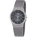 Skagen Denmark Men's Titanium Watch