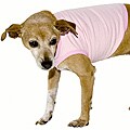 American Apparel Pink California Fleece Dog Vest