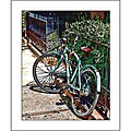 Anne H. Timpson 'Green Bike With Red Seat' Cotton Rag Archival Print