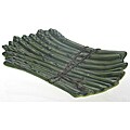 Certified International Farm Fresh 3-D Asparagus Platter (13 x 7.5)