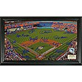 Highland Mint Florida Marlins Field Signature Framed Photo