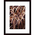 Joe Gemignani 'Bent Weeds 1' Framed Art Print