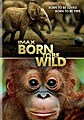 Born to Be Wild (IMAX) (DVD)