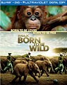 Born to Be Wild (IMAX) (Blu-ray / DVD / Digital Copy)