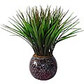 Laura Ashley Grass in Red and Brown Mosaic Container (Set of 2)
