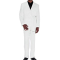 Divine Apparel Men's 2-piece Suit
