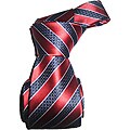 Dmitry Men's Burgundy Striped Italian Silk Tie