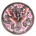 Cristiani Crysal Base Butterfly Box