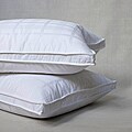 Eddie Bauer Best Medium Firm Standard-size Feather Pillow