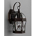 Hand-painted Bronze 1-light Outdoor Wall Light