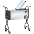 Trinity 20-gallon Stainless Steel Beverage Cooler