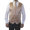 Ferrecci Men's Champagne Four-piece Vest