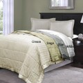 All Season 350 Thread Count Cotton/ Down Blanket