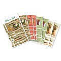 Everyday Scenic Autumn Windows Flower Soft Card Toppers