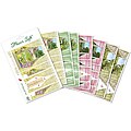 Everyday Scenic Summer Windows 1 Flower Soft Card Toppers