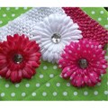 Just Girls Headband and Flower clip (5-pc set)