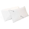 Coconut Cloud Cooler Sleep Queen-size Memory Foam Pillow