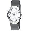 Skagen Men's Grey Dial Titanium Watch