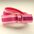 Razzle Dazzle Kids D-Ring Belt