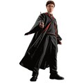 RoomMates Harry Potter Peel and Stick Giant Wall Decal