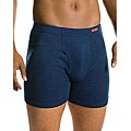 Hanes Men's Assorted Blue Boxer Briefs (Pack of 4)