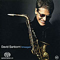 David Sanborn - Timeagain