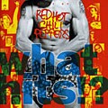 Red Hot Chili Peppers - What Hits?