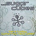 The Sugarcubes - Here Today, Tomorrow, Next Week