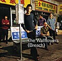 The Wallflowers - Breach