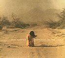 Ben Harper - Diamonds On The Inside [Digipak]