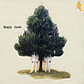 Tosca - Delhi 9