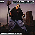 Fat Joe Da Gangsta - Represent